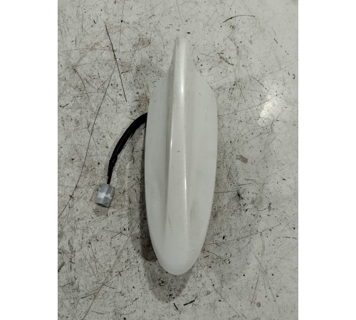 Антенна (плавник)