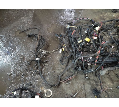 Электропроводка салона/подкапотная