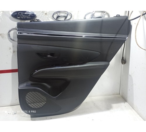 Обшивка двери (задняя правая)