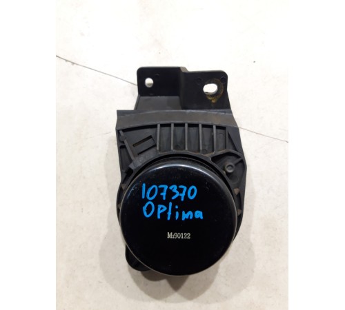 Динамик торпедо