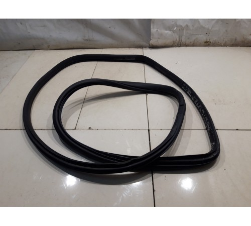 Уплотнитель двери (задний, левый)