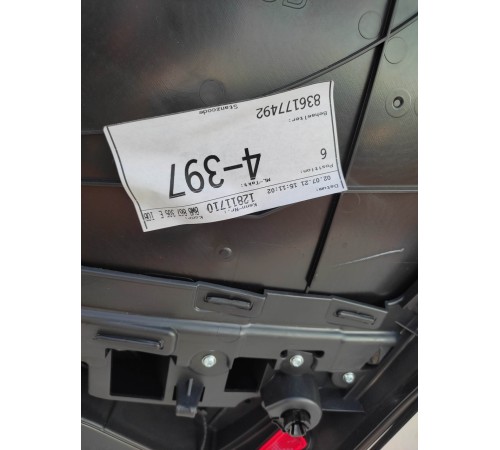 Обшивка двери (задняя левая)