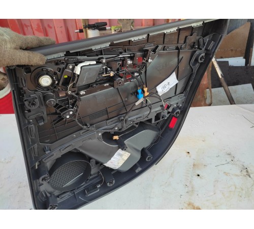 Обшивка двери (задняя левая)