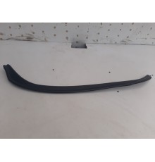 Уплотнитель двери (задний, левый)