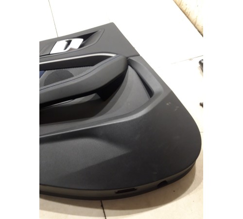 Обшивка двери (задняя левая)