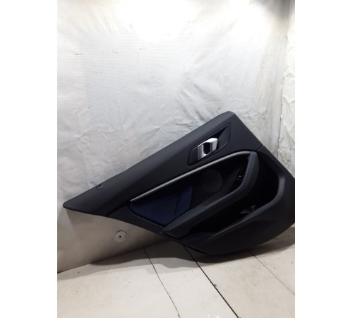 Обшивка двери (задняя левая)