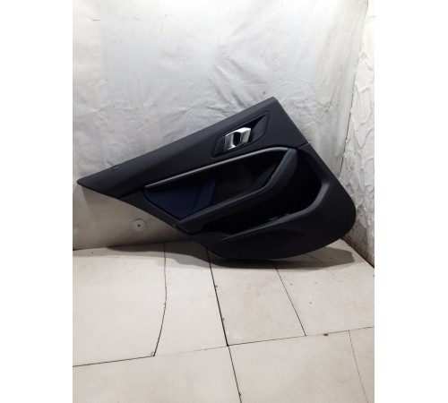 Обшивка двери (задняя левая)