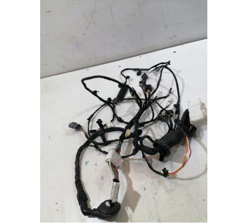 Проводка двери передняя правая