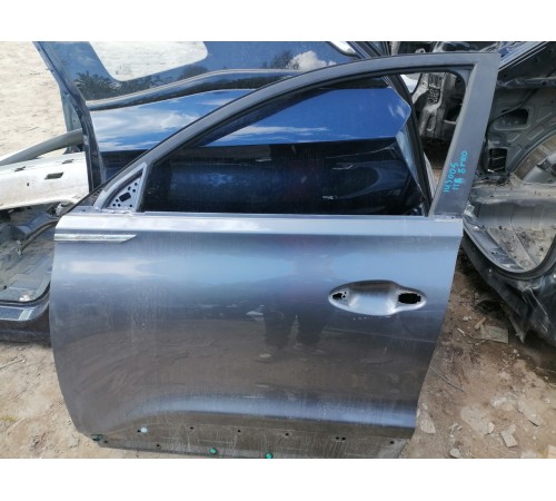 Дверь передняя левая