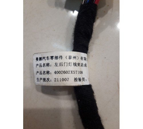 Электропроводка двери (задняя, левая)