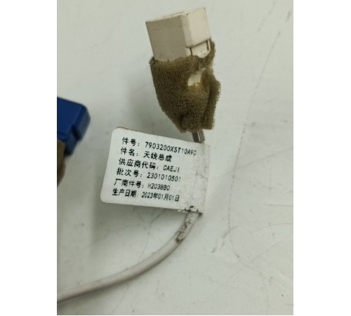 Антенна (плавник)