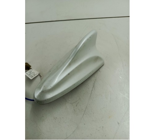 Антенна (плавник)