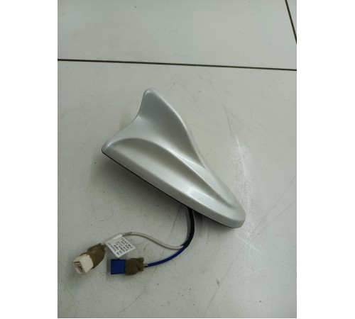 Антенна (плавник)