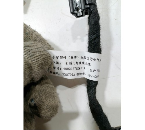 Проводка обшивки задней правой двери