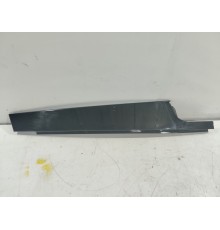 Накладка двери (передняя левая)