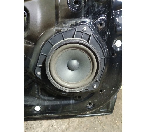 Дверь передняя левая