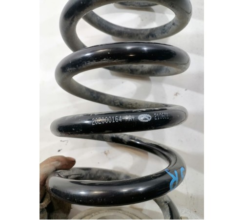 Пружина задняя