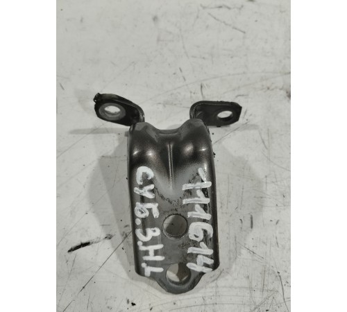 Петля двери(задняя левая нижняя)