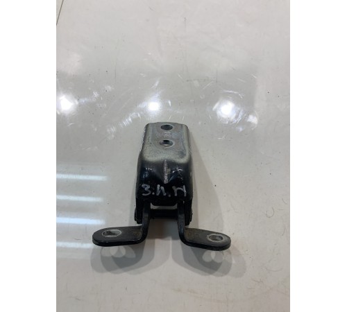 Петля двери (задняя, левая, нижняя)