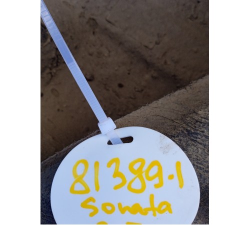 Защита антигравийная задняя правая