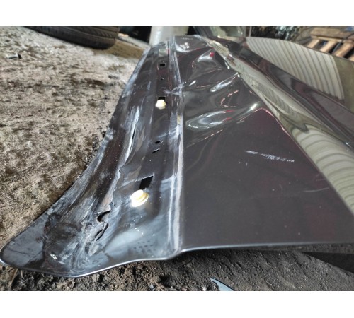 Дверь (передняя, левая)