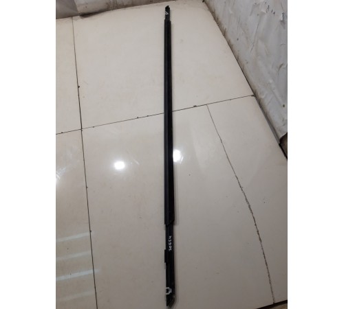 Молдинг двери (передний, левый)