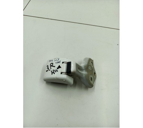 Петля двери задняя правая нижняя