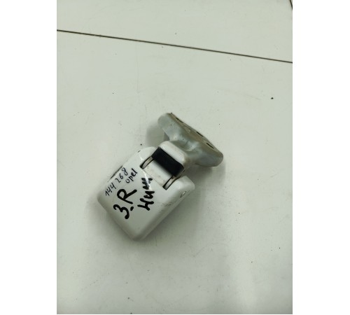 Петля двери задняя правая нижняя