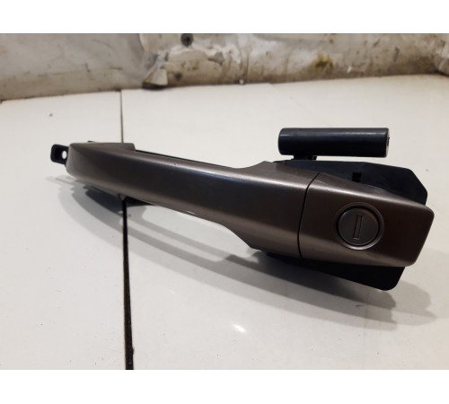 Ручка двери (передняя левая внешняя)