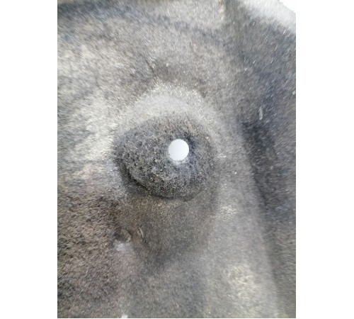 Защита двигателя