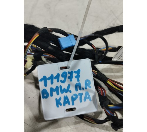 Электропроводка обшивки двери (передняя правая)