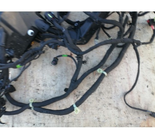 Передний жгут проводов в сборе