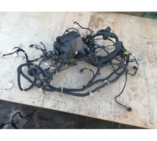 Передний жгут проводов в сборе