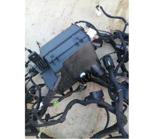 Передний жгут проводов в сборе