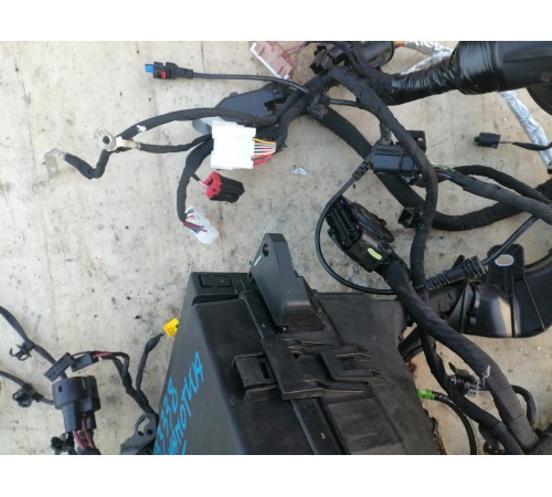 Передний жгут проводов в сборе