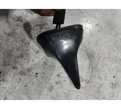 Антенна (плавник)