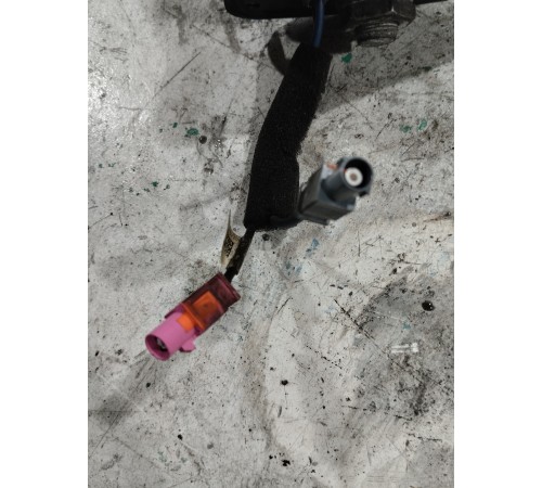 Антенна (плавник)