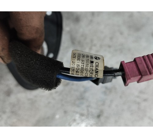 Антенна (плавник)