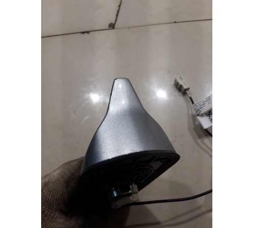 Антенна (плавник)