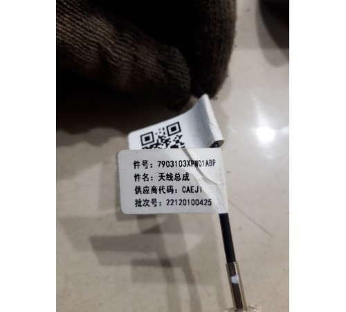 Антенна (плавник)