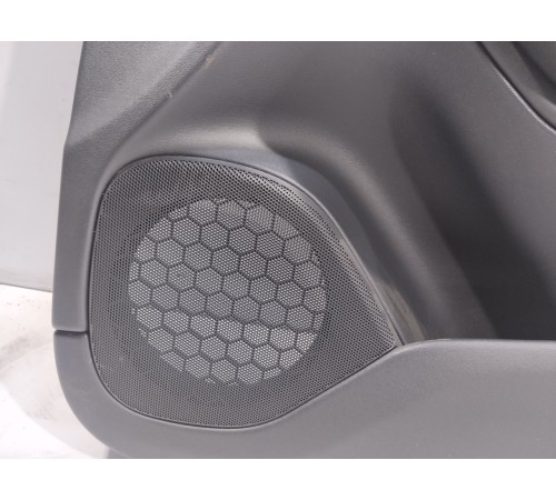 Обшивка двери(передняя правая)