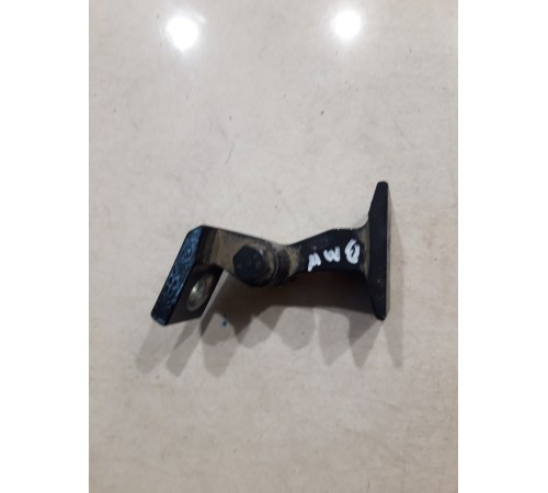 Петля двери(передняя левая нижняя)