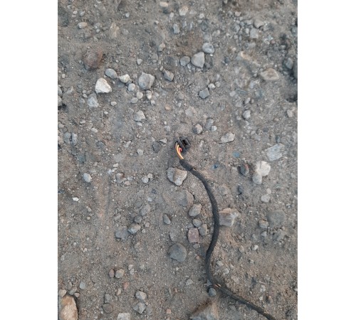 Электропроводка подторпедная