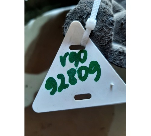 Локер(задний левый)