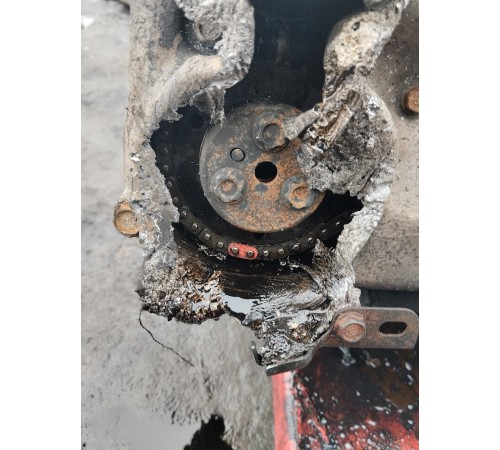 Двигатель в сборе