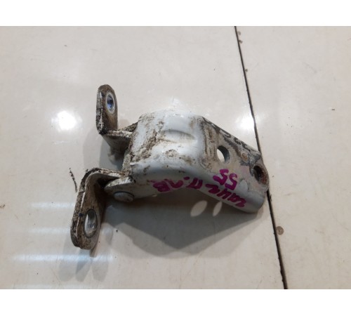 Петля двери (передняя, левая, верхняя)