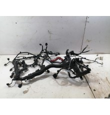 Электропроводка моторная