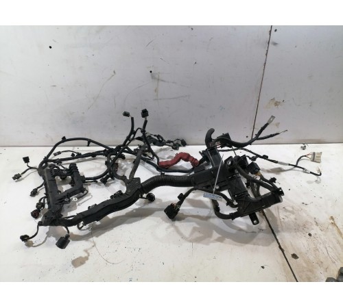 Электропроводка моторная