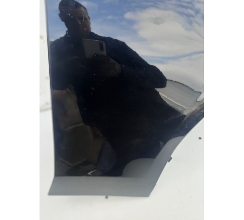 Крыло (переднее, правое)