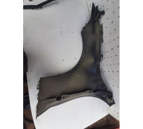 Крыло (переднее, правое)